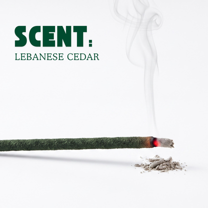 Nafas Cedar Set