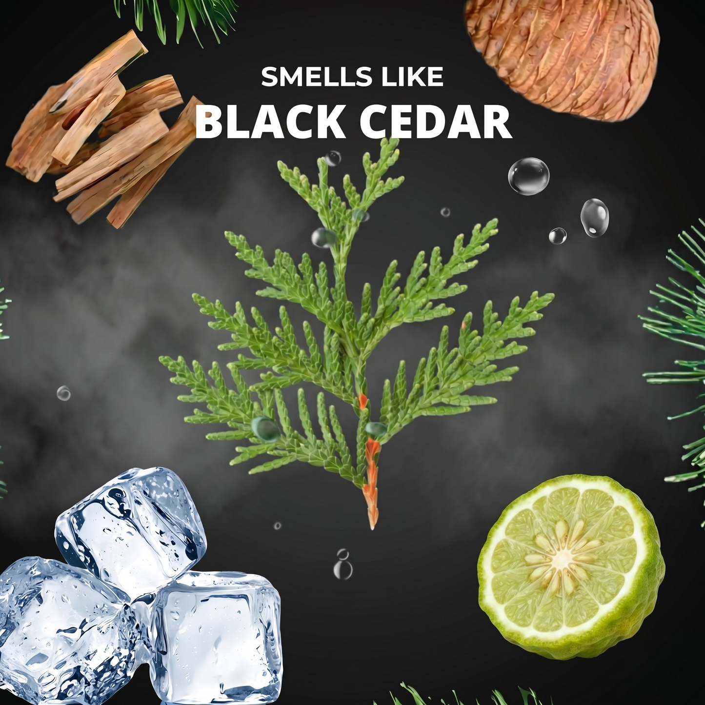 Black Cedar Air Freshener + Sticker Pack