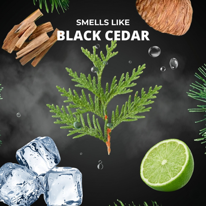 Lebanese Cedar Air Freshener + Sticker Pack