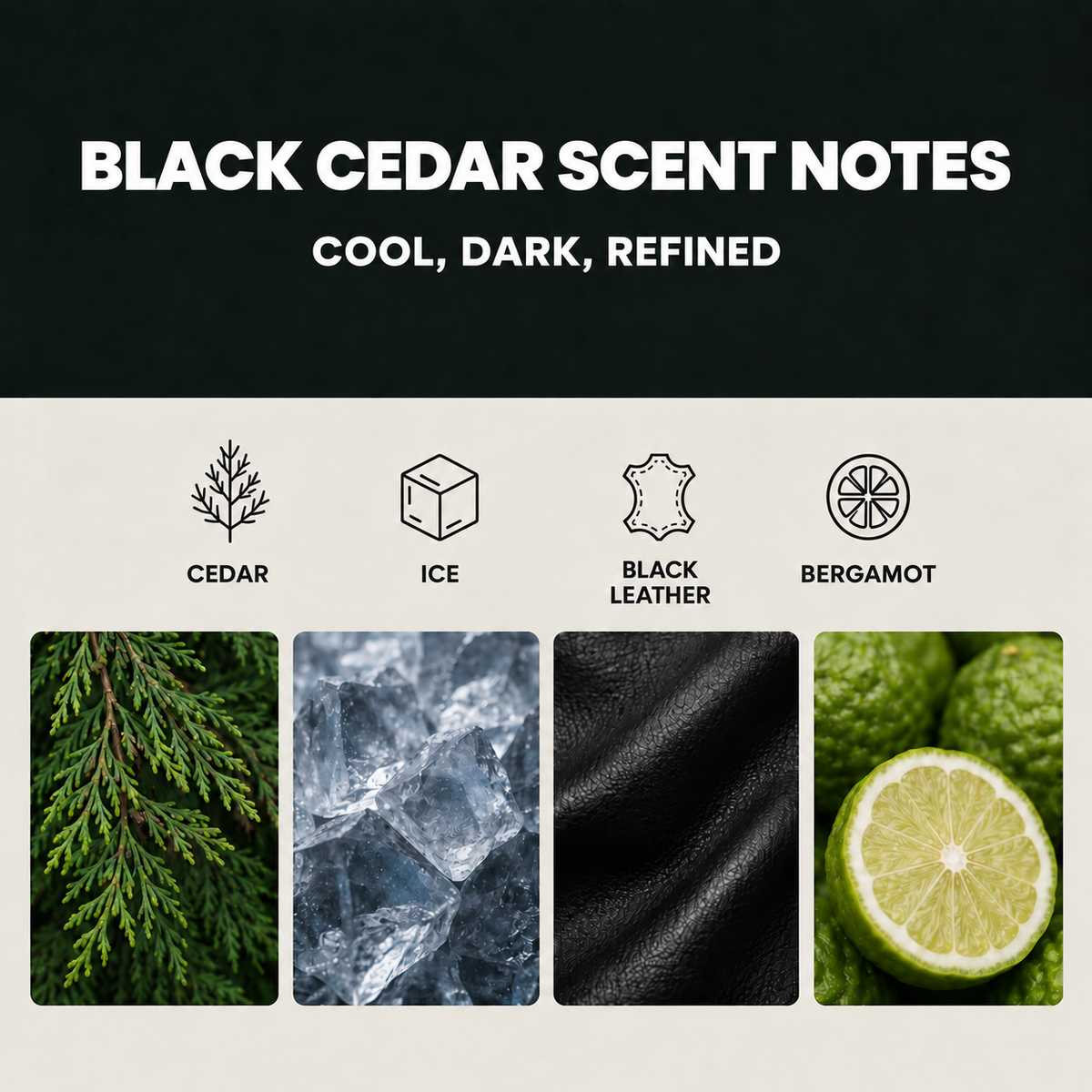 Lebanese Cedar Air Freshener + Sticker Pack
