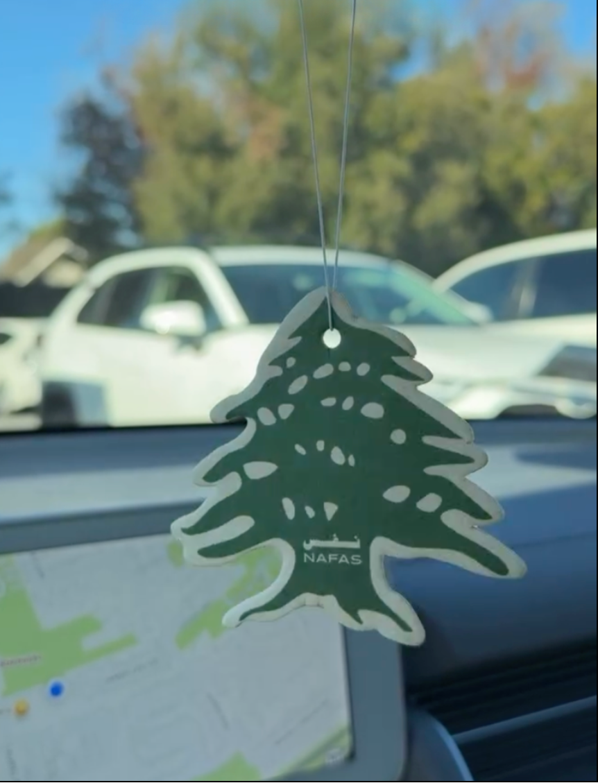 NEVER BUYING OTHER AIR FRESHENERS AGAIN