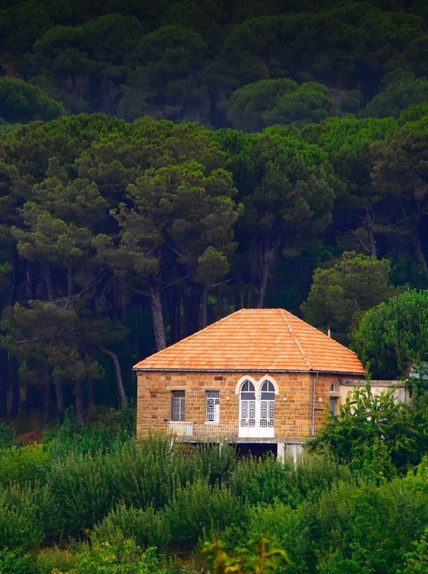 Lebanese cedar forest and mountain home that inspired Nafas Lebanese Cedar Air freshener.